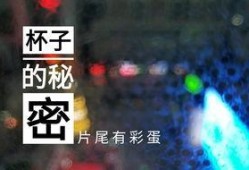 桂林饭店爆料视频最新,揭秘幕后真相与争议
